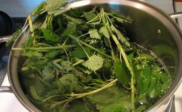 sirup-koprivaa-1